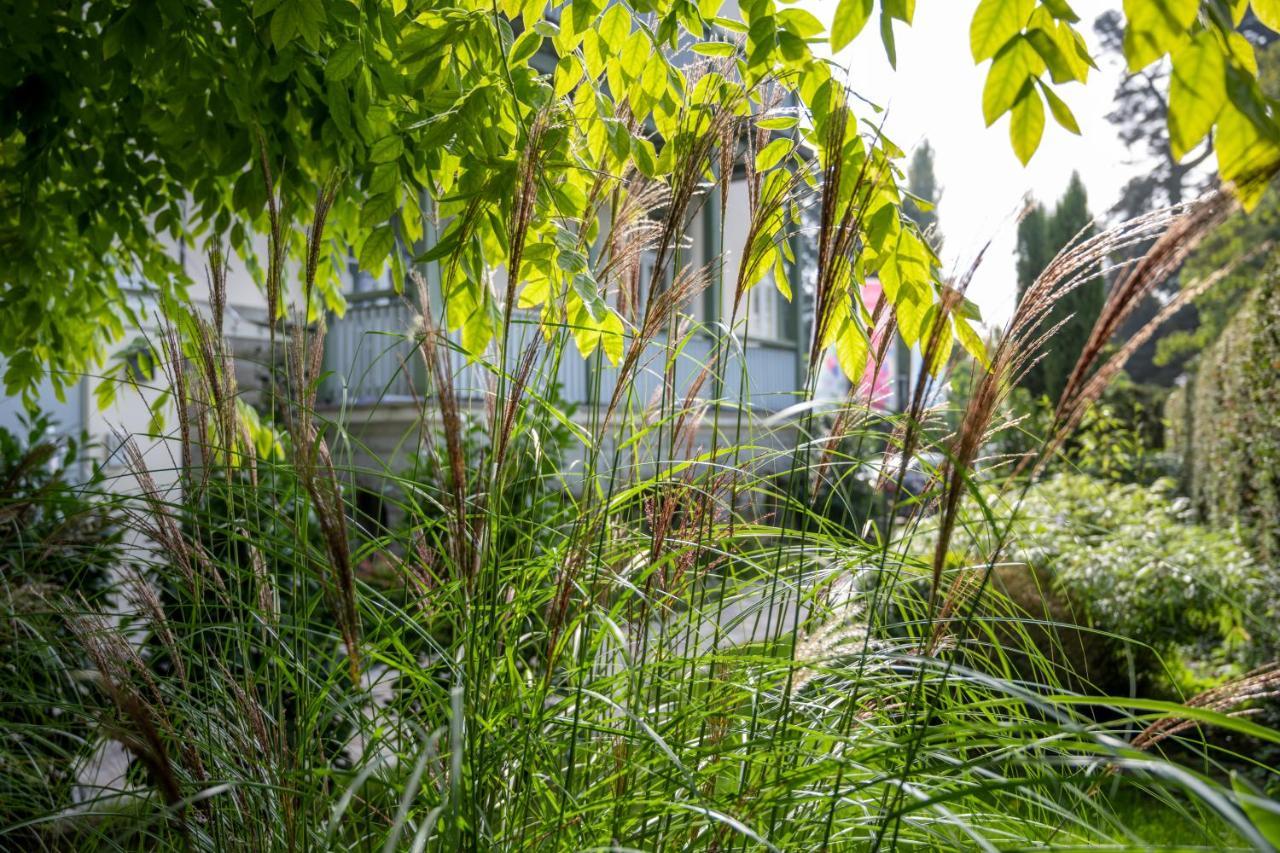 Hotel Garni Villa Rosengarten Uberlingen Zewnętrze zdjęcie